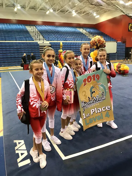 RAD Gymnastics Picture 5
