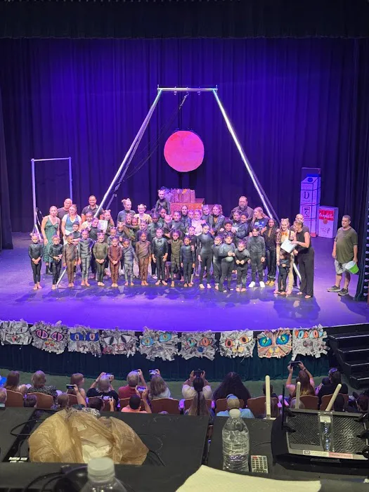 Dehner Elite Arts Picture 3