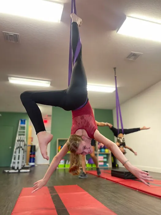 Dehner Elite Arts Picture 8