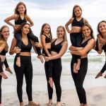 Dehner Elite Arts