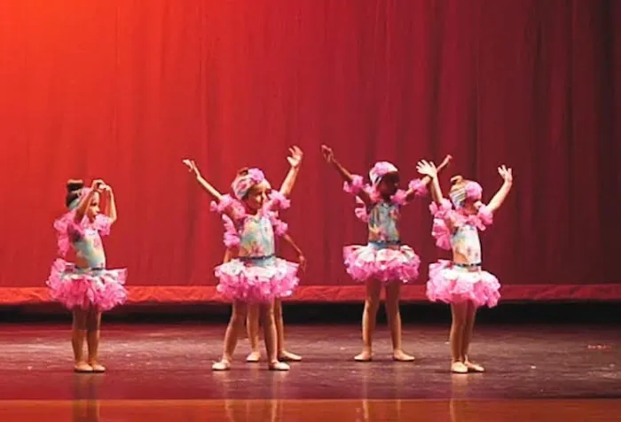 Shell We Dance Academy LLC. Picture 1