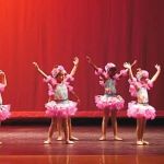 Shell We Dance Academy LLC.