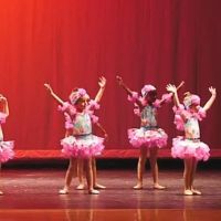Shell We Dance Academy LLC. ico