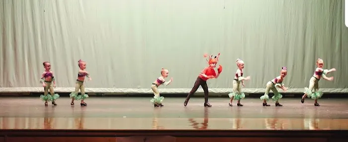 Shell We Dance Academy LLC. Picture 2