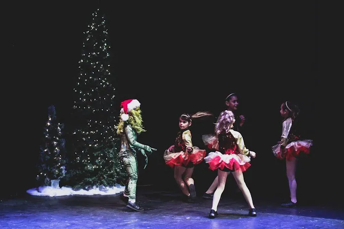Shell We Dance Academy LLC. Picture 6