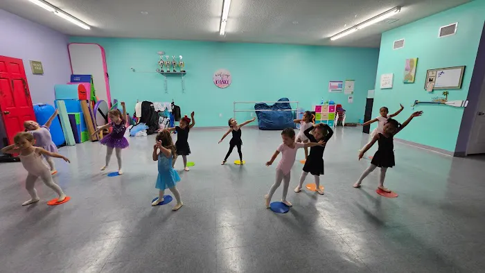 Shell We Dance Academy LLC. Picture 5
