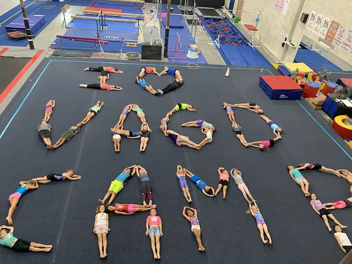 Volusia Academy of Gymnastics & Dance Picture 4