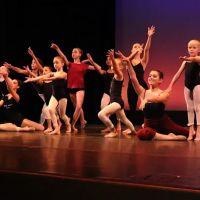 Harwood-Watson Dance Studios ico