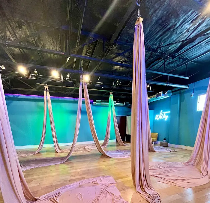 Flutter Fitness Studio Picture 7