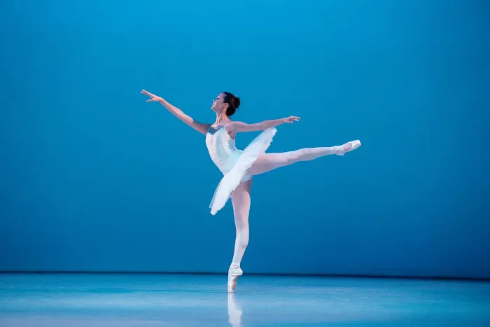 Orlando Ballet School Picture 2