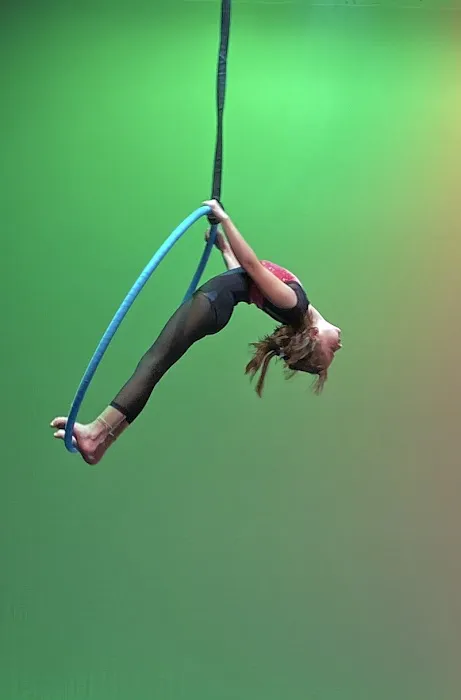 Joyce Lemos Aerial Arts & Dance Academy Picture 7