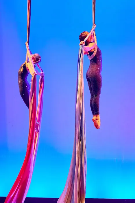 Joyce Lemos Aerial Arts & Dance Academy Picture 6