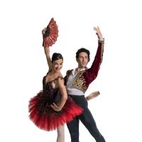 Dance Alive National Ballet ico