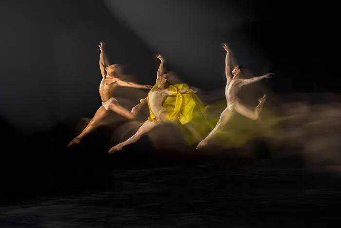 Dance Alive National Ballet Picture 5