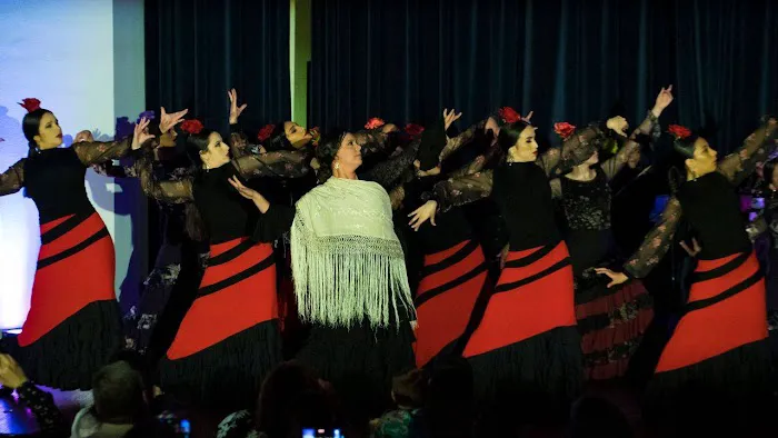 Flamenco del Sur Dance & Music Studio Picture 1