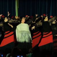 Flamenco del Sur Dance & Music Studio ico