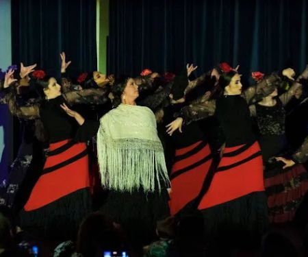 Flamenco del Sur Dance & Music Studio