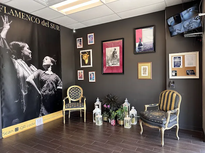 Flamenco del Sur Dance & Music Studio Picture 6