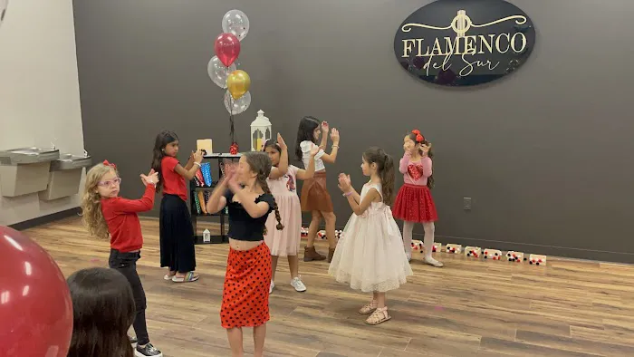 Flamenco del Sur Dance & Music Studio Picture 7