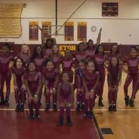 Dancing Lady Cats of Daytona Beach Florida Inc. ico