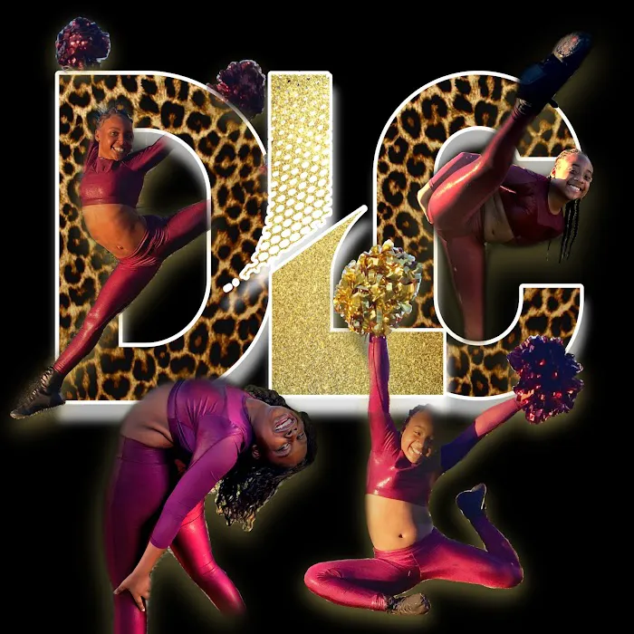 Dancing Lady Cats of Daytona Beach Florida Inc. Picture 6