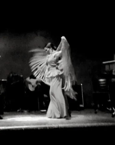 FLAMENCO DE PERFIL Picture 1