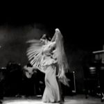 FLAMENCO DE PERFIL