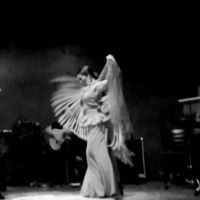 FLAMENCO DE PERFIL ico
