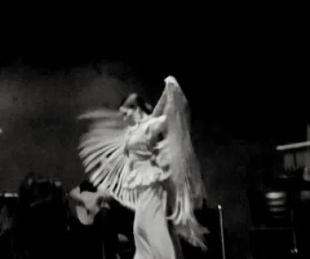 FLAMENCO DE PERFIL