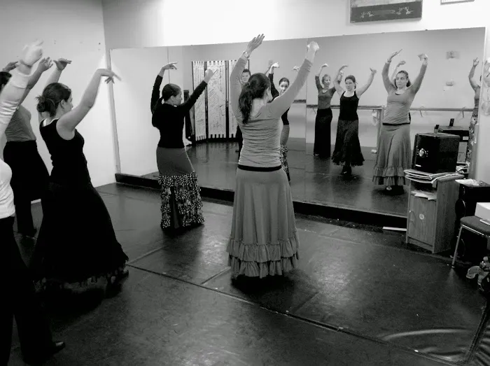 FLAMENCO DE PERFIL Picture 7