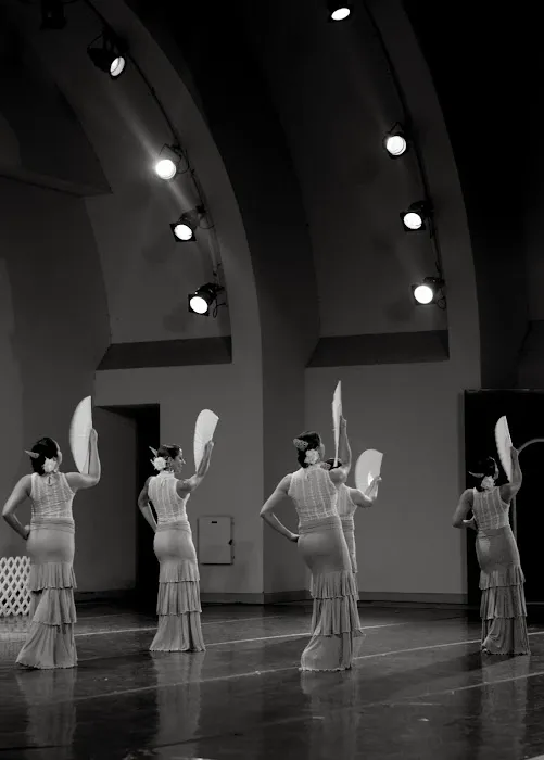 FLAMENCO DE PERFIL Picture 3