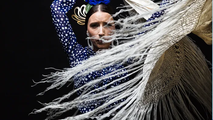 FLAMENCO DE PERFIL Picture 10