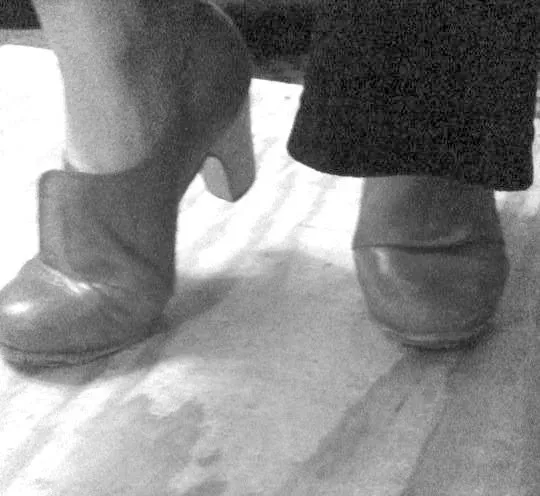 FLAMENCO DE PERFIL Picture 2