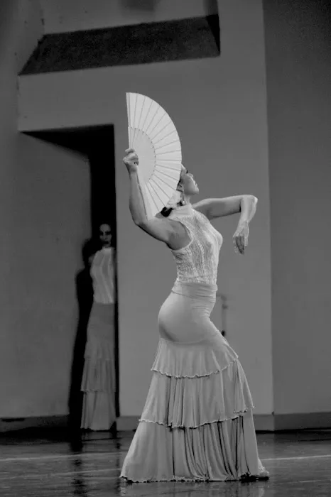 FLAMENCO DE PERFIL Picture 6