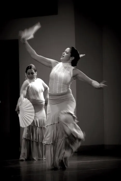 FLAMENCO DE PERFIL Picture 5