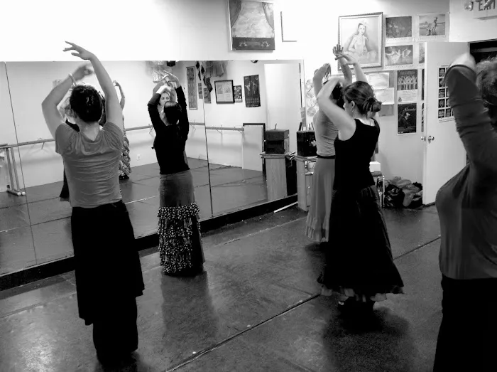 FLAMENCO DE PERFIL Picture 9
