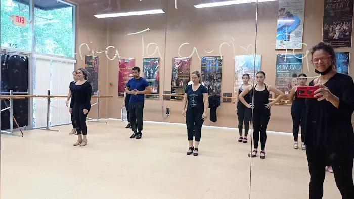 Flamenco del Sol Picture 4
