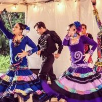Flamenco del Sol ico