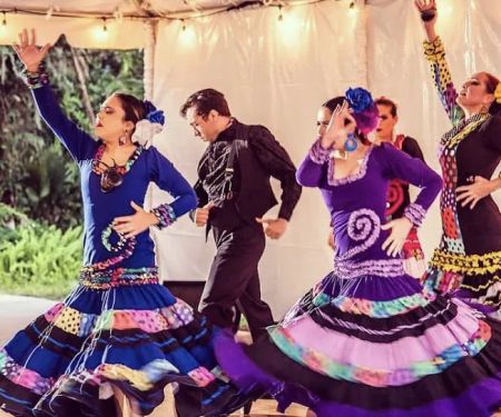 Flamenco del Sol