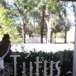 Tutus School of Dance