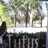 Tutus School of Dance ico