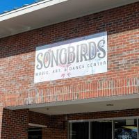 Songbirds Music, Art, & Dance Center ico