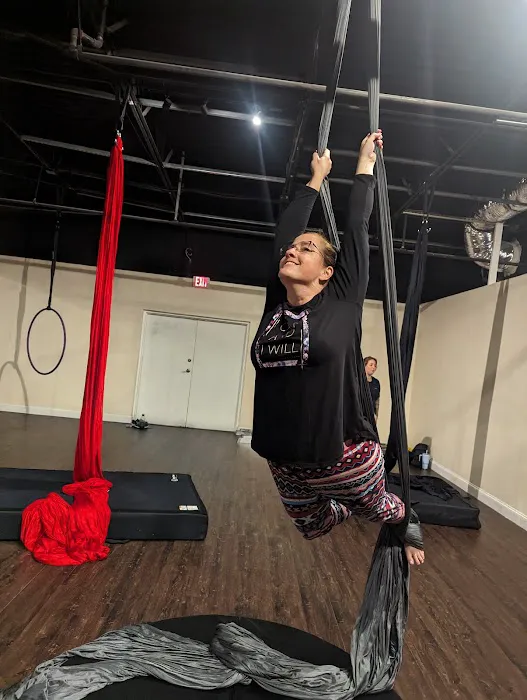 Serpentine Fitness Studio Picture 5