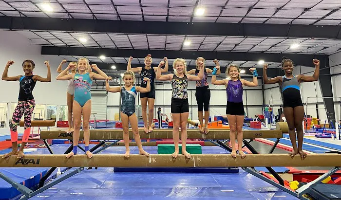 Flight Gymnastics Picture 4