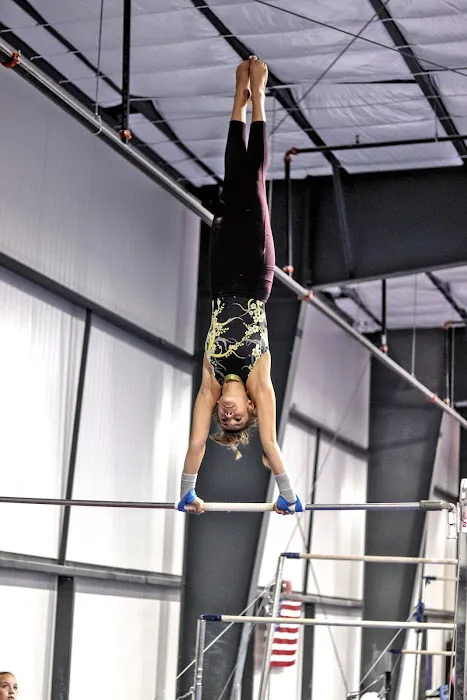 Flight Gymnastics Picture 10