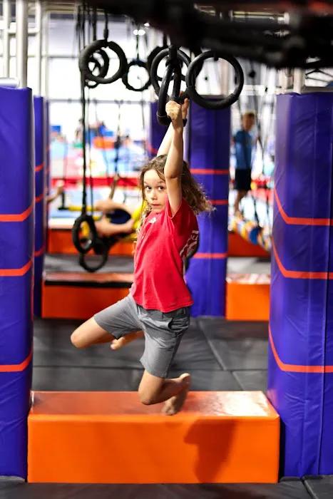Flight Gymnastics Picture 9