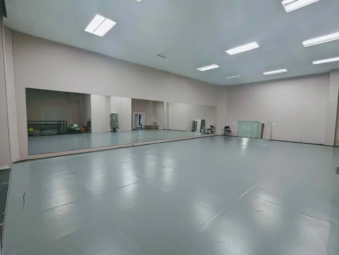 Ormond Ballet Picture 5