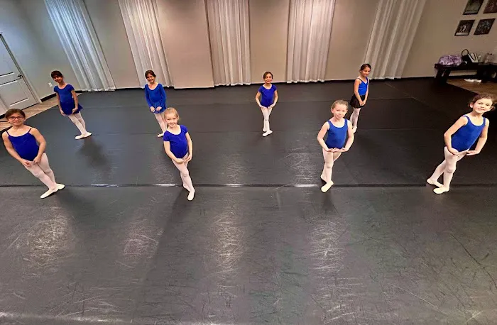 European Performing Arts Conservatory Picture 7