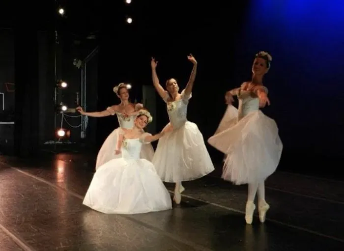 European Performing Arts Conservatory Picture 1