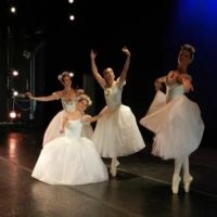 European Performing Arts Conservatory ico